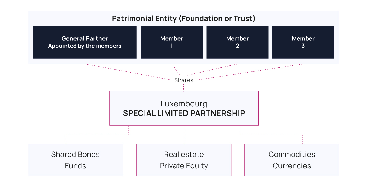 Limited Partnership for holding Private Assets