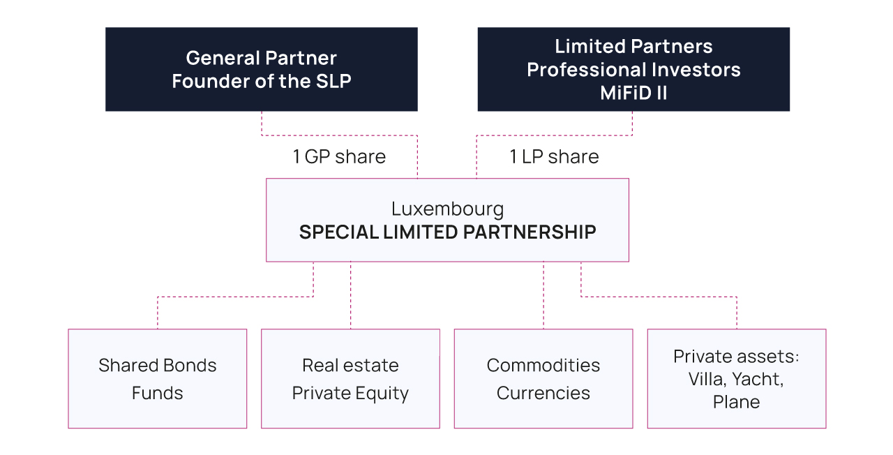 Special Limited Partnership